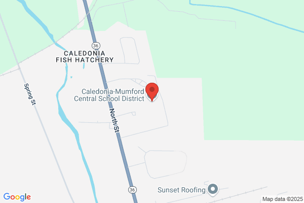 Caledonia-Mumford Central Schools