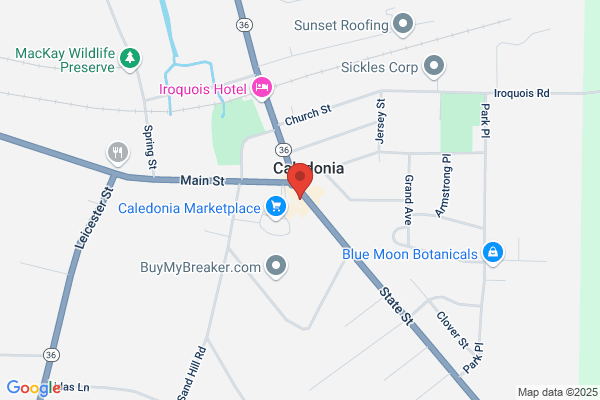 Caledonia-Mumford Family Chiropractic PC