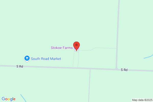 Stokoe Farms Inc