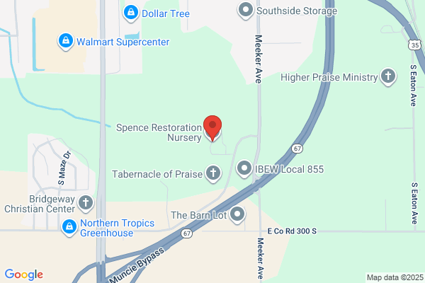 Spence Restoration Nursery