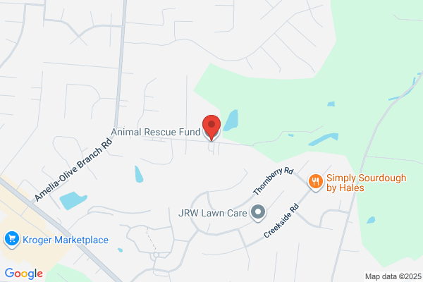 Animal Rescue Fund