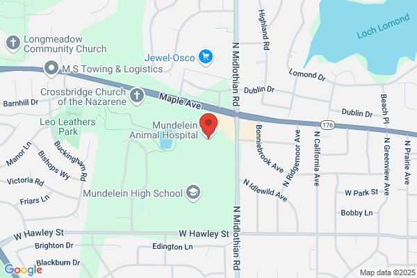 Mundelein Animal Hospital