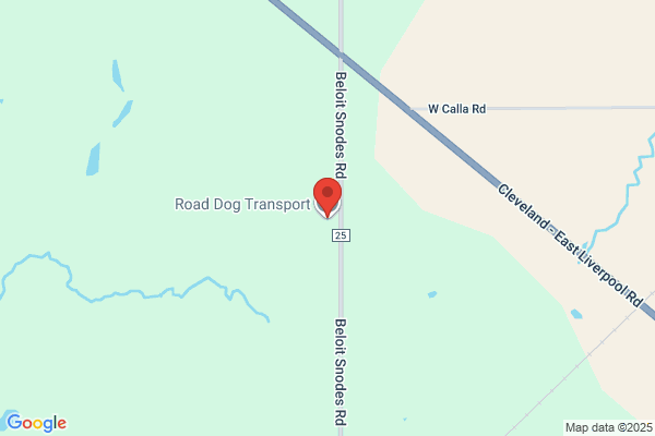 Road Dog Trucking Inc