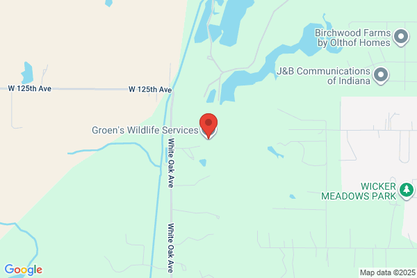 Groen's Wildlife Services