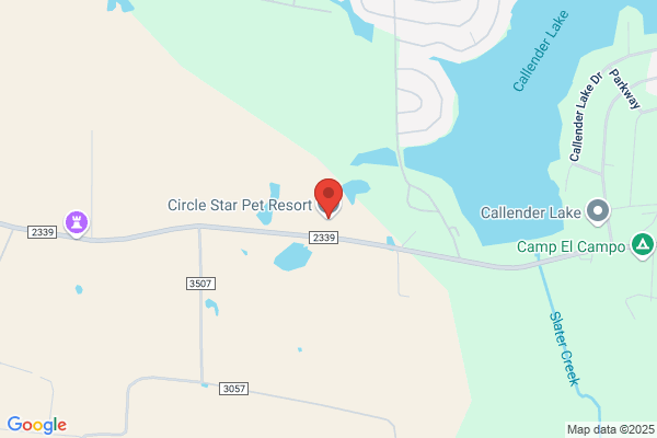 Circle Star Pet Resort & Training