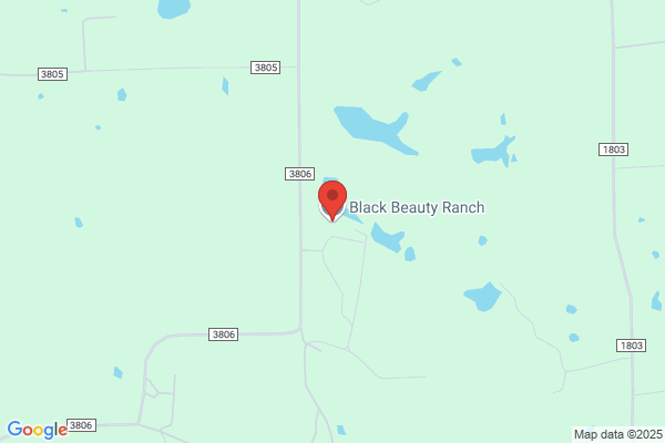 Black Beauty Ranch