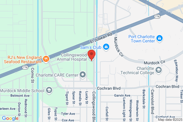 Collingswood Animal Hospital