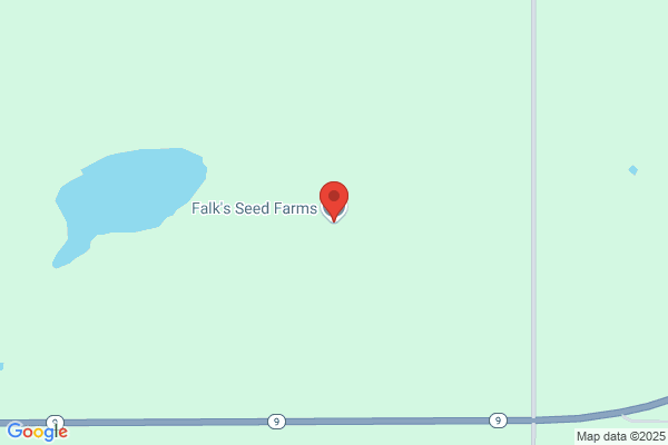 Falk's Seed Farm