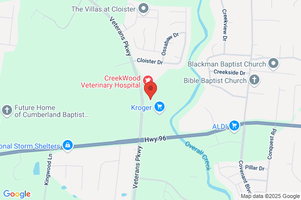 Stephen A. Sevenich, DDS - Inactive