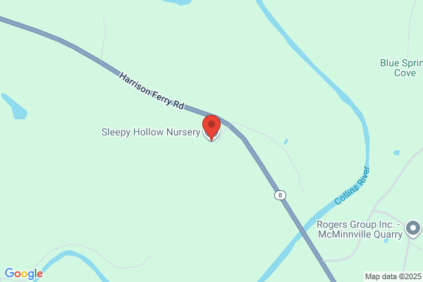 Sleepy Hollow Nursery