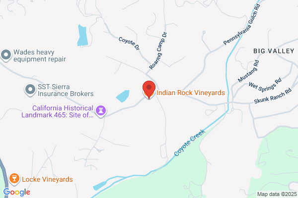 Indian Rock Vineyard