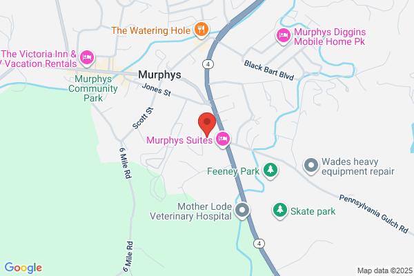 Murphys Nursery-Fine Plants