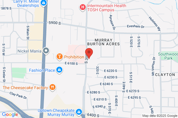 Villiage Professional Health Care