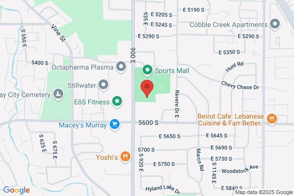 Ad Systems Inc