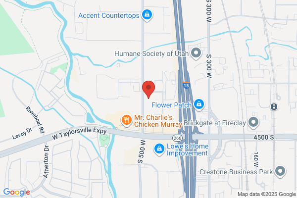 Biomet West