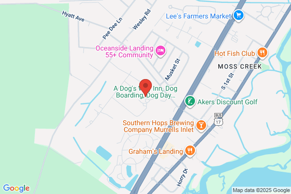 A Dog's Way Inn