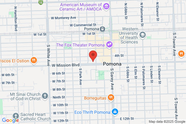 Apollo Bail Bonds
