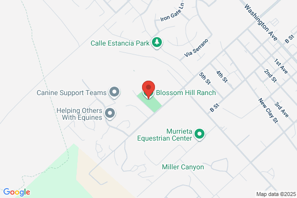 Blossom Hill Ranch