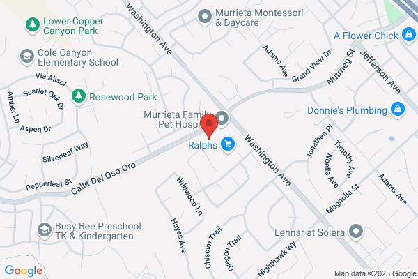 Discovery Isle Child Development Center