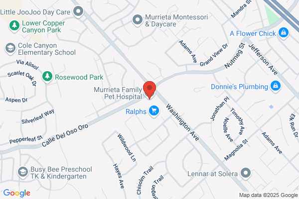 Murrieta Family Pet Hospital