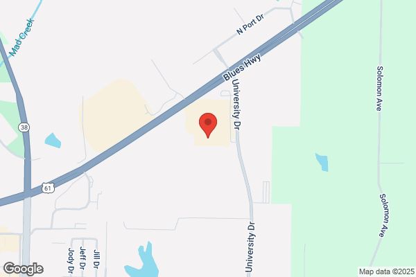 Blain's Farm & Fleet - Muscatine, Iowa