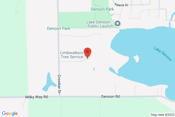 Oelke Tree & Stump Removal