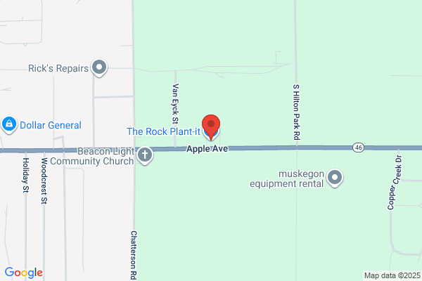 Rock Plant-It