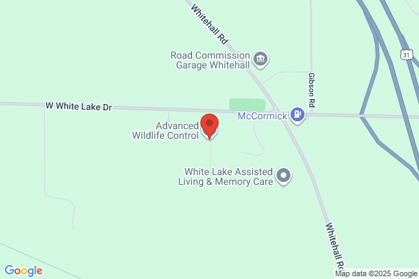 Advanced Wildlife Control