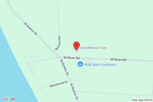 Vanderkooi Tree