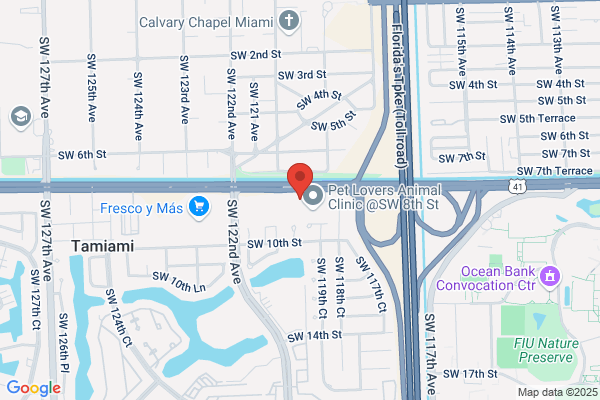 Smile Design & Family Dentistry