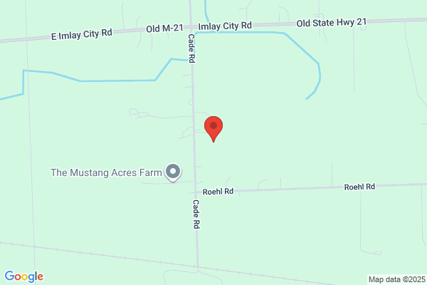 Mid State Tree Service