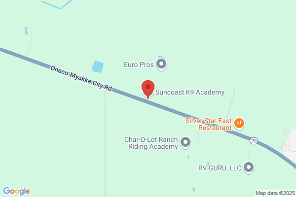 Suncoast K9 Academy, LLC