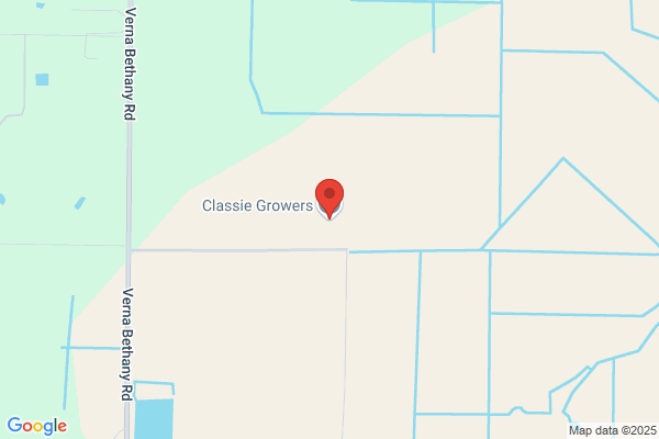 Classie Growers Llc