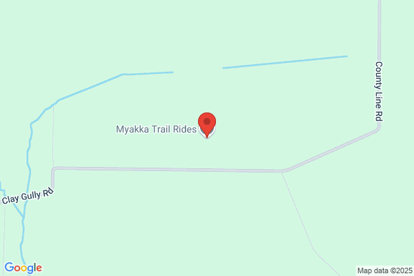 Myakka Trail Rides