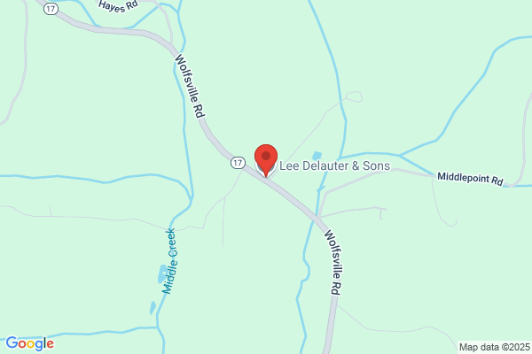 Delauter Lee & Sons