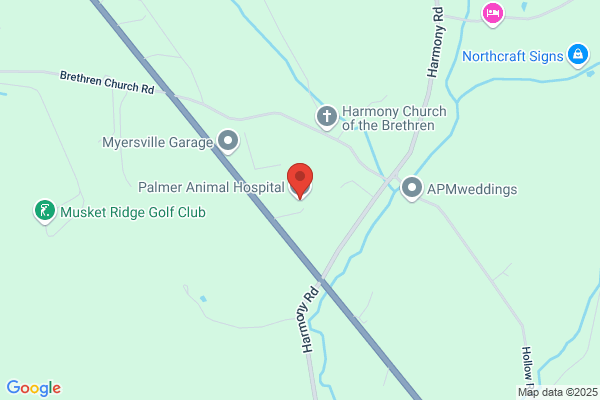 Palmer Animal Hospital