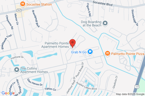 Palmetto Pointe Apartment Homes