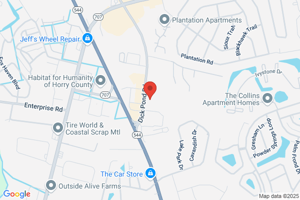 Advance Auto Parts