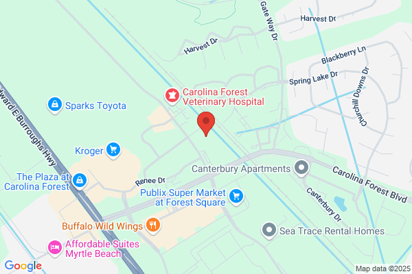Carolina Forest Child Development Center