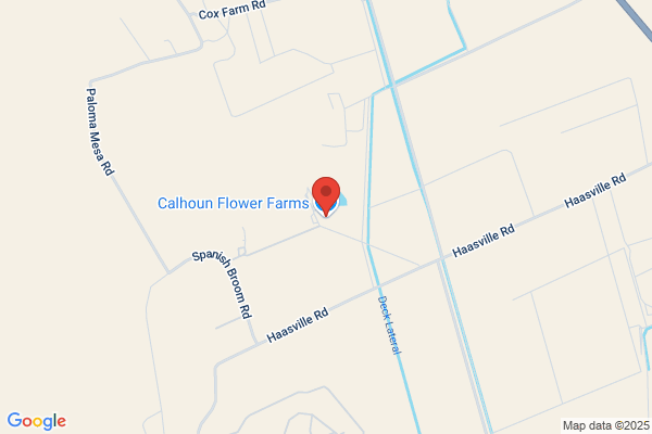 Calhoun's House of Flowers