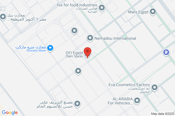 Ofi Manufacturing