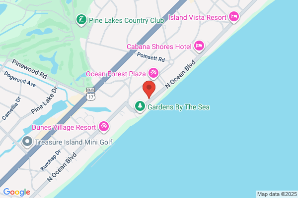 Forest Dunes Ocean Front