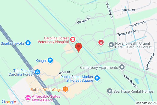 Dentistry at Carolina Forest
