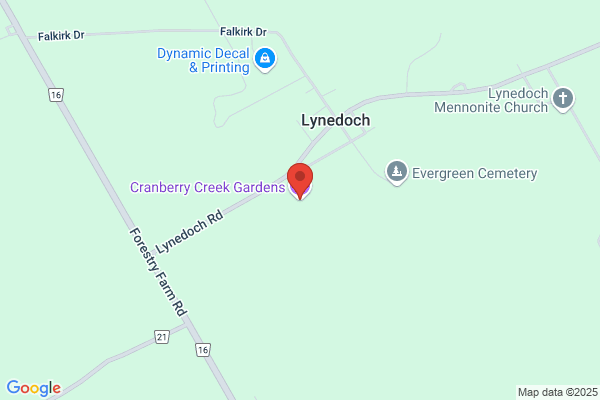Cranberry Creek