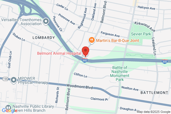 Belmont Animal Hospital