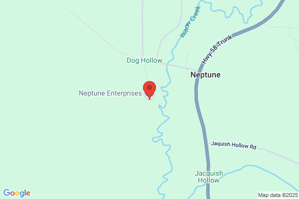 Neptune Enterprises Inc