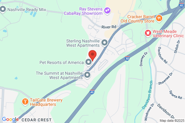Pet Resorts Dog Daycare