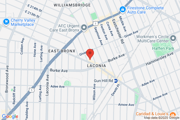 Bronx Spirits Liquor Inc