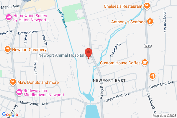 Newport Animal Hospital