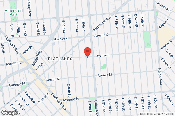 Mold Experts of NYC